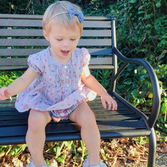 Rose on a bench