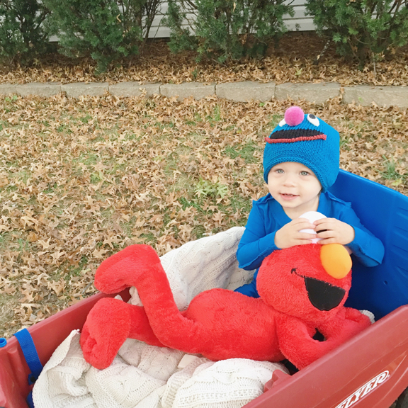 Rose dressed up as Grover from Sesame Street