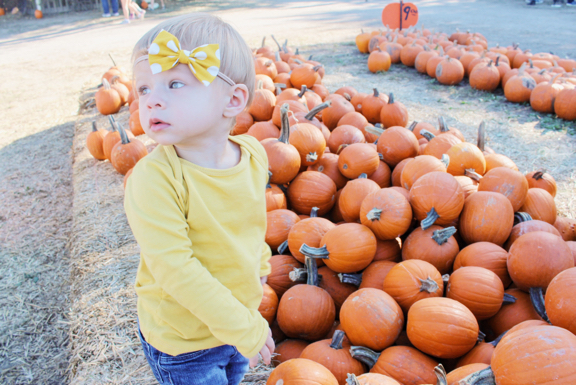 Rose looking up in front of some pumpkins