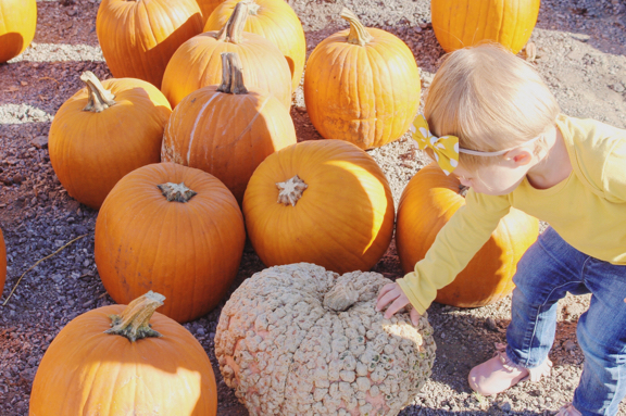 Rose looking at pumpkins