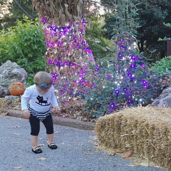 Rose walking in front of some hay and lights