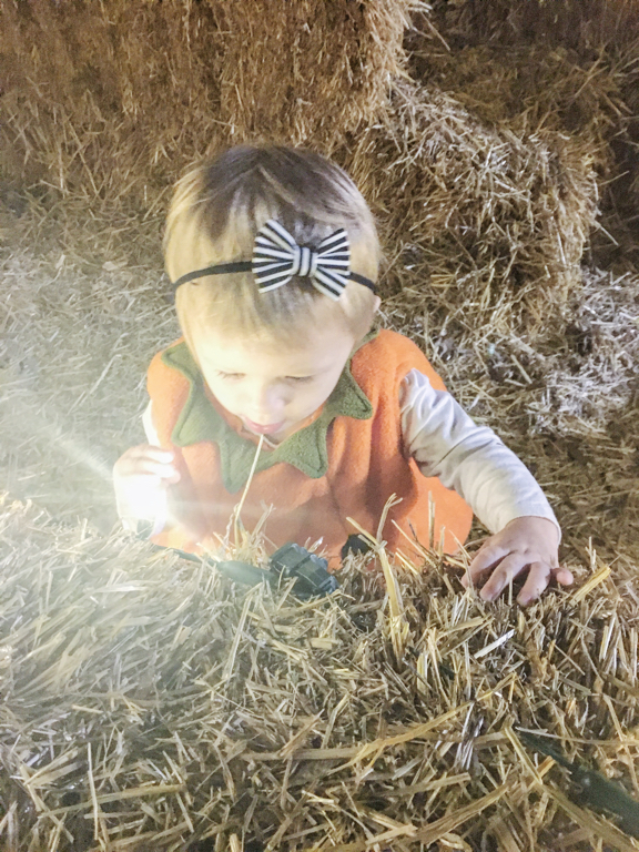Rose in a hay maze
