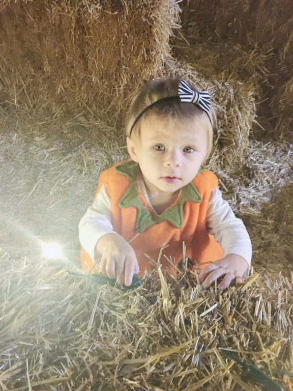 Rose in a hay maze