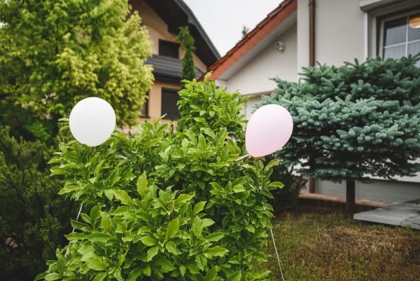 Reportaż ślubny Częstochowa — M&A