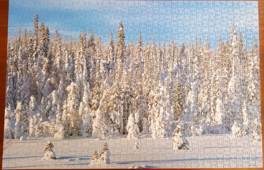 A snowy winter forest with evergreen trees heavily laden with snow under a clear blue sky.