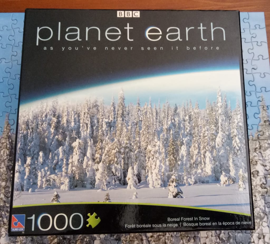 A photograph of a vast, snowy boreal forest seen from above, with the Earth