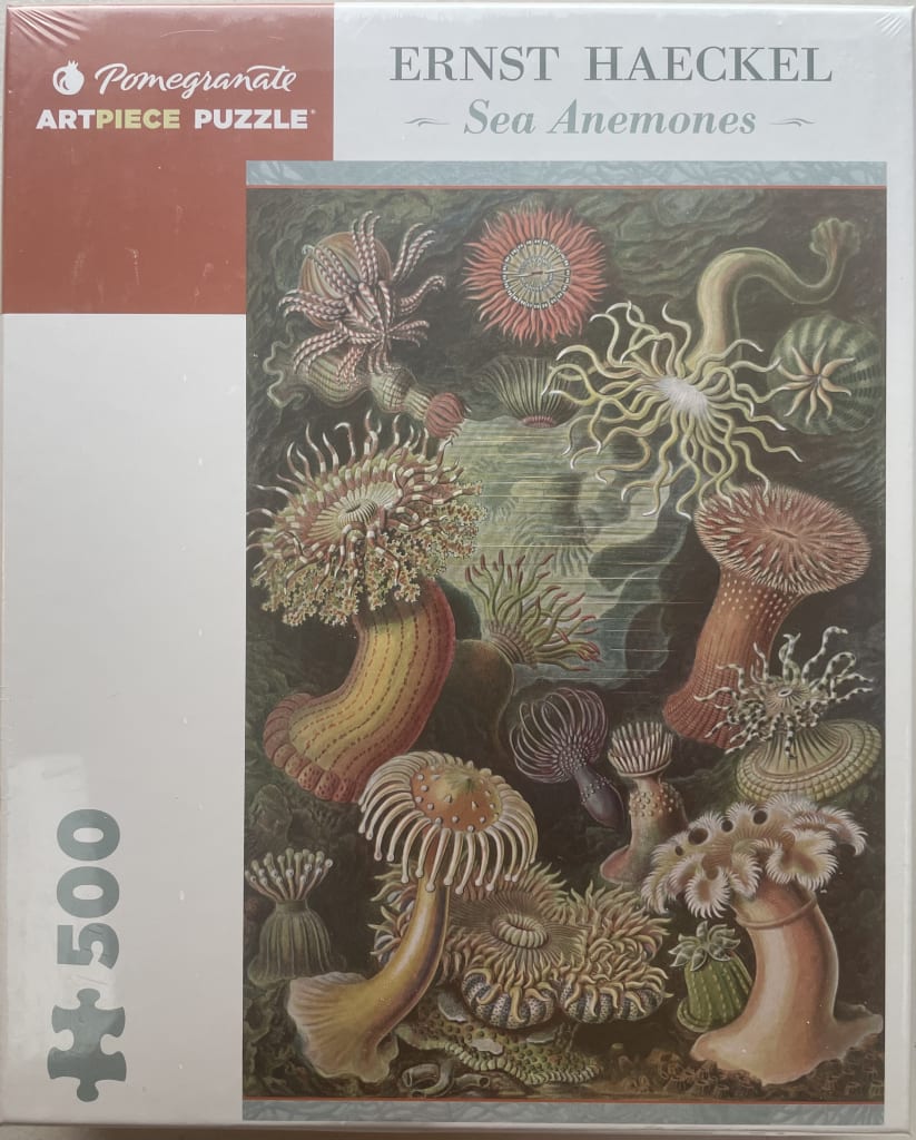 Scientific illustration of various sea anemones in shades of pink, orange, and green against a dark background.