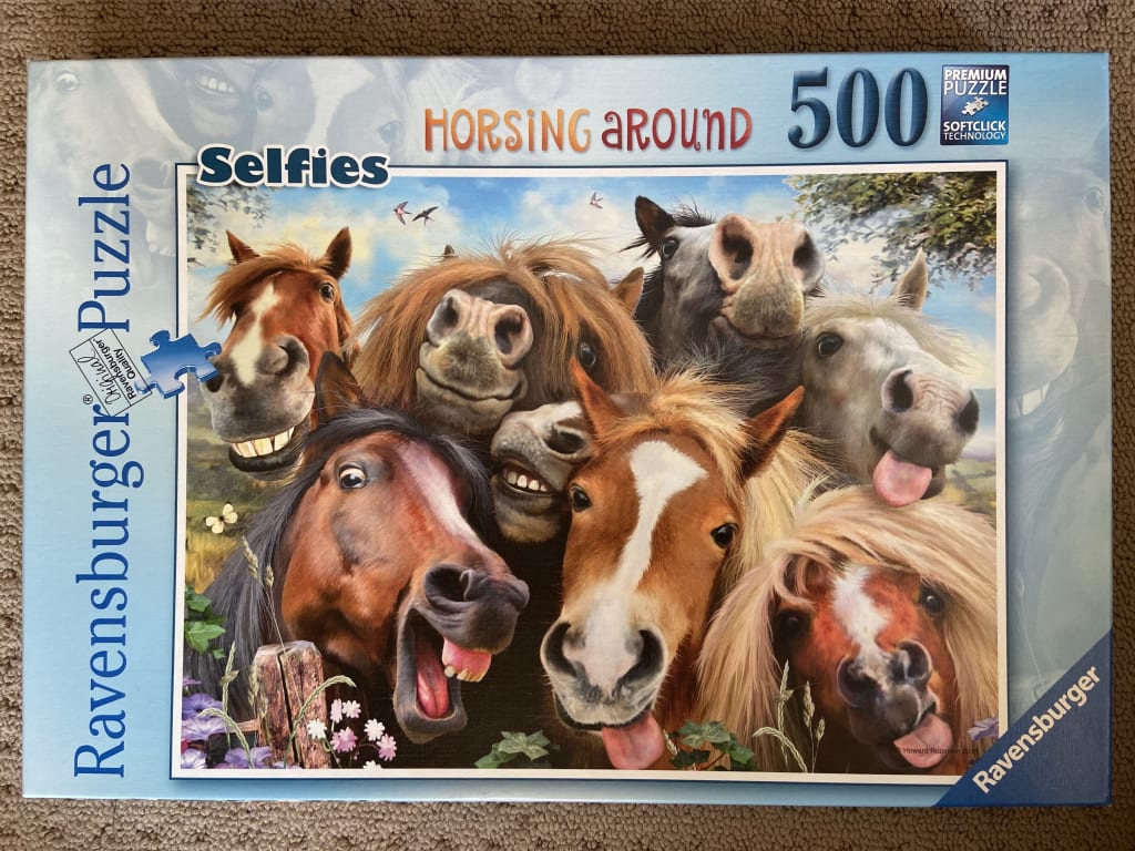 A whimsical illustration of a group of horses huddled together for a goofy selfie in a sunny field.