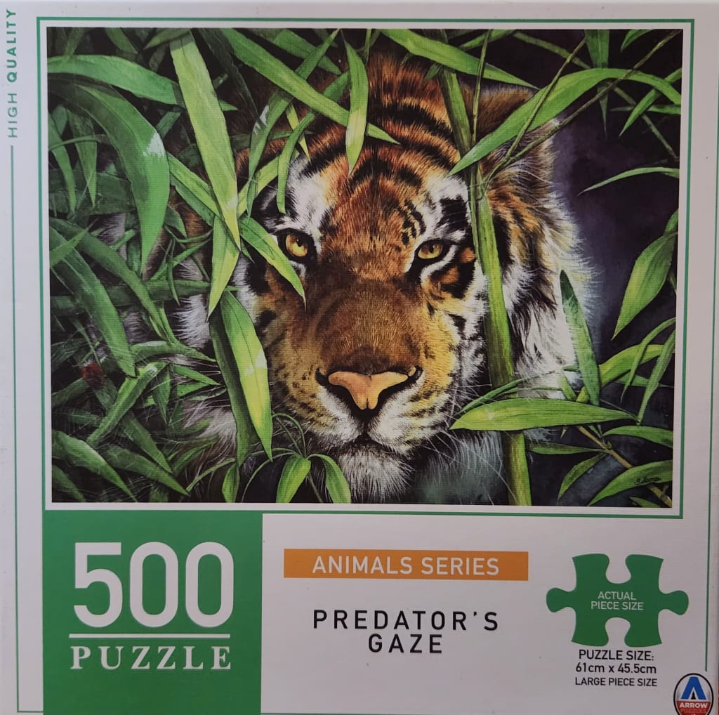 A close-up illustration of a tiger’s face peeking through dense green bamboo leaves.