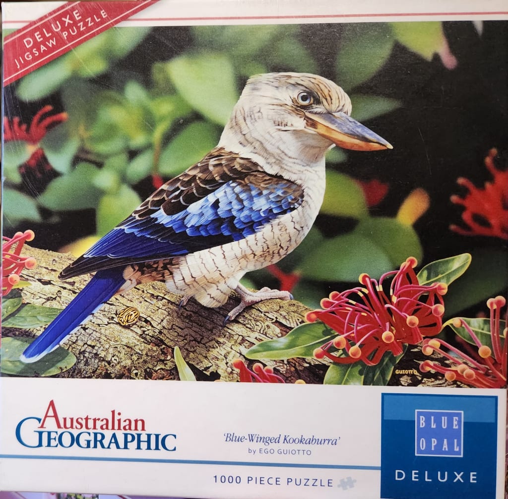 A detailed painting of a blue-winged kookaburra perched on a branch amongst red grevillea flowers.