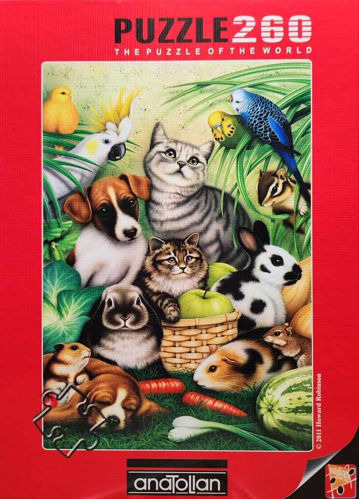An illustration of various domestic animals, including cats, dogs, birds, and small rodents, gathered in a garden.