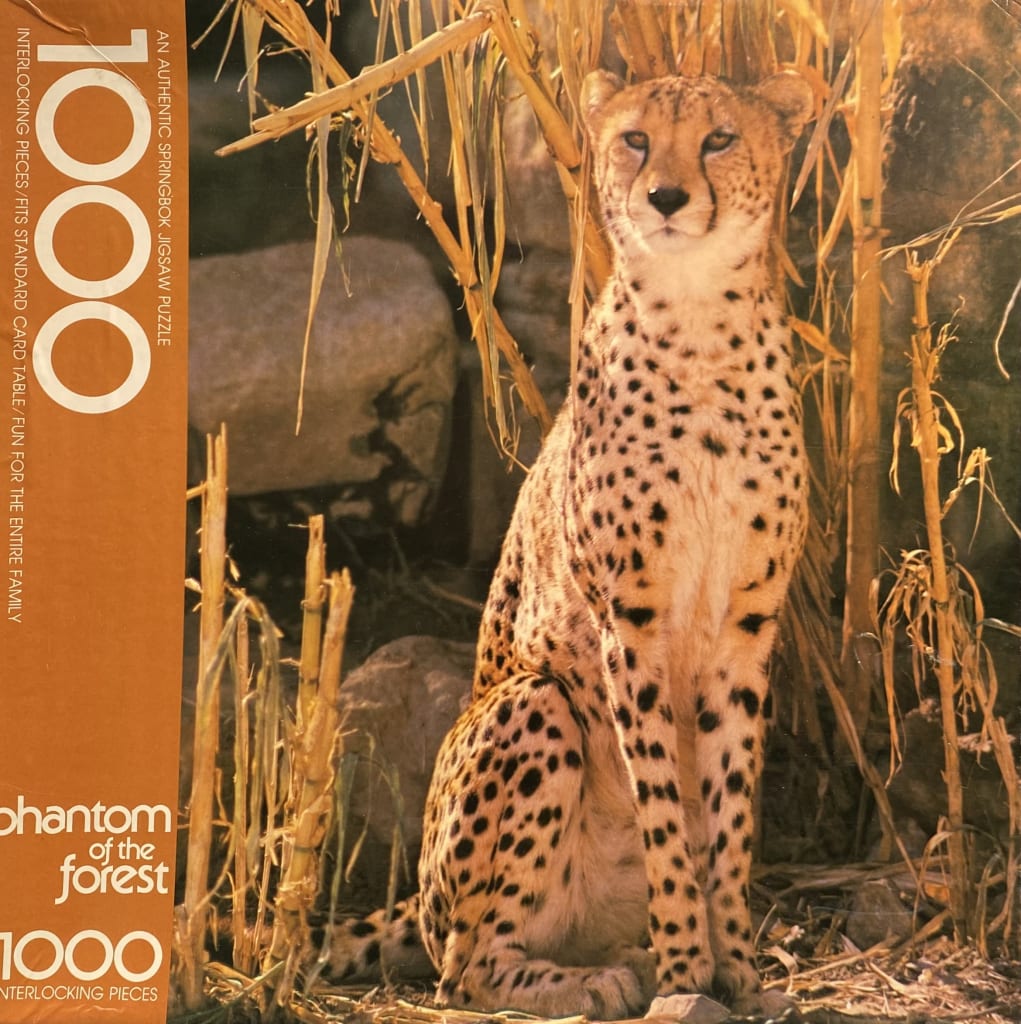 A cheetah sitting in tall, dry grass with rocky surroundings in a photographic style.