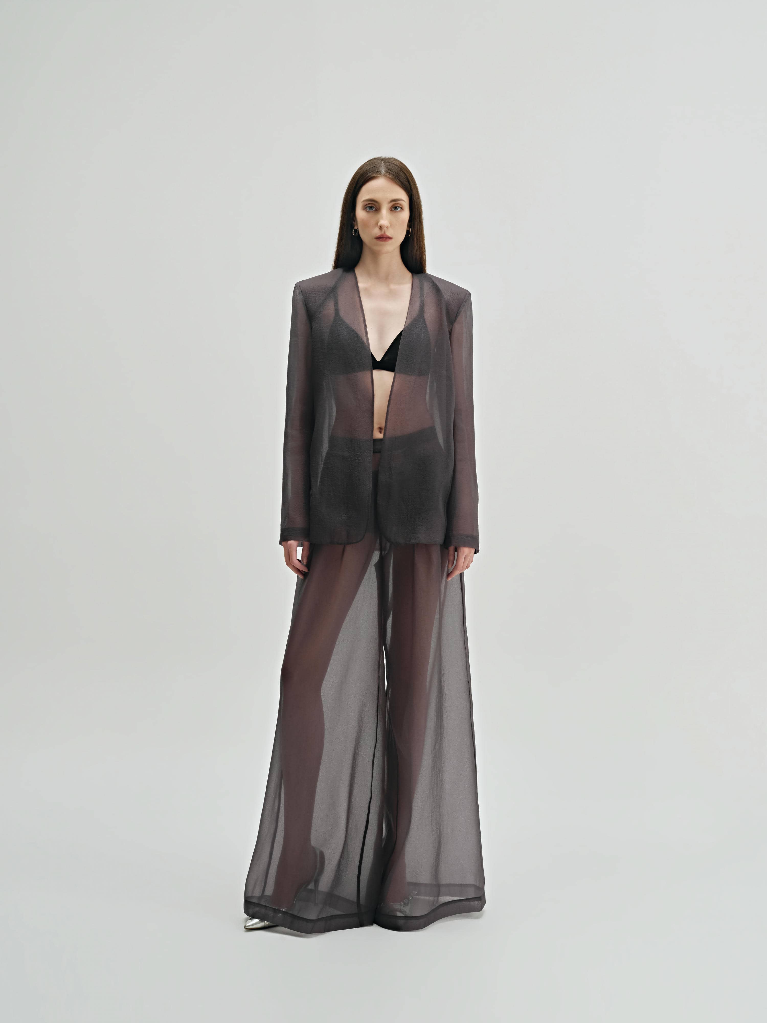 Later Blazer - 2