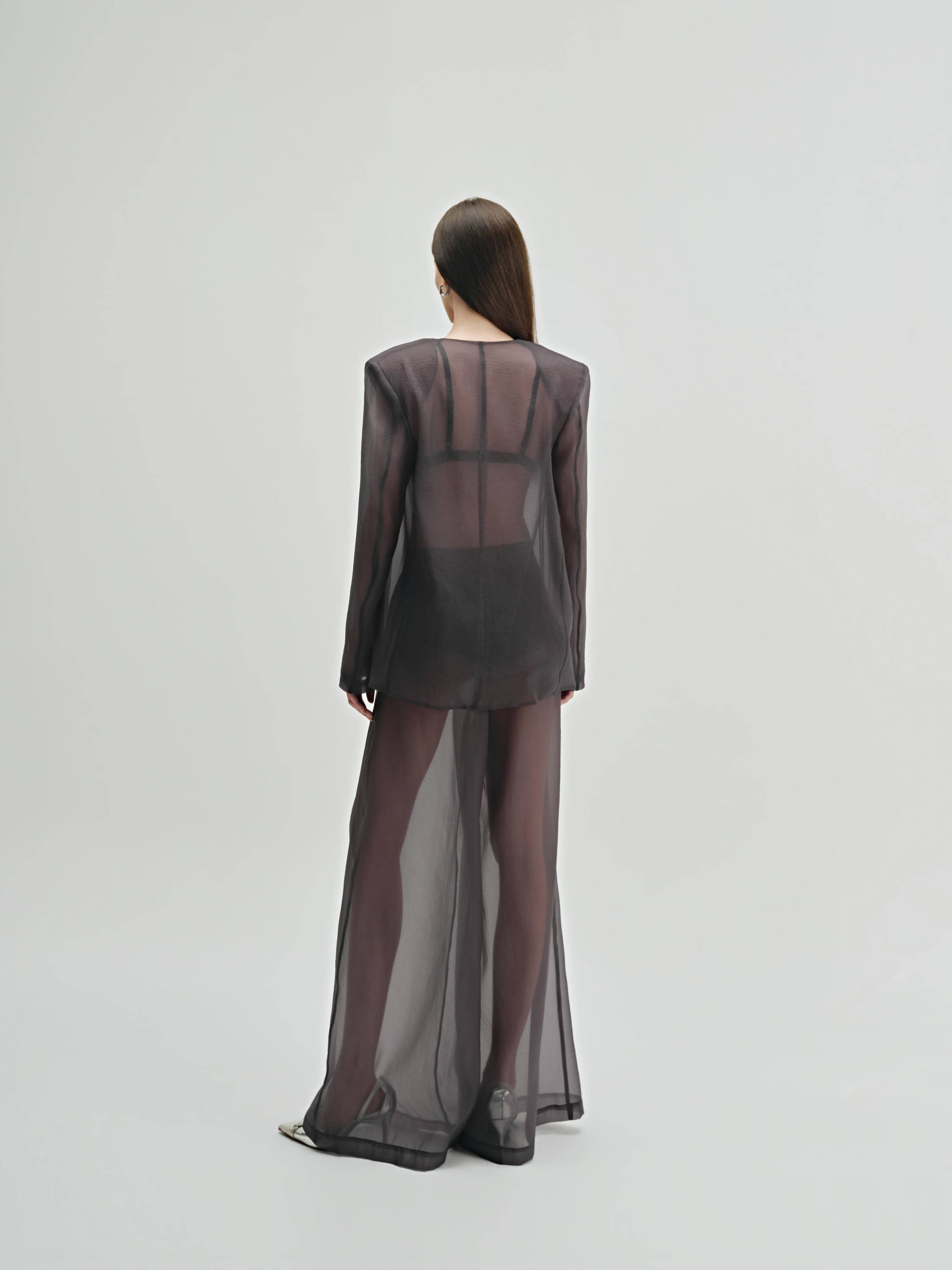 Later Blazer - 4
