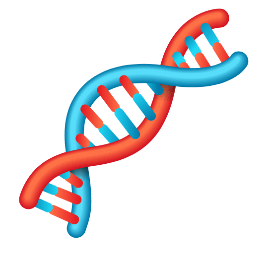 dna strand