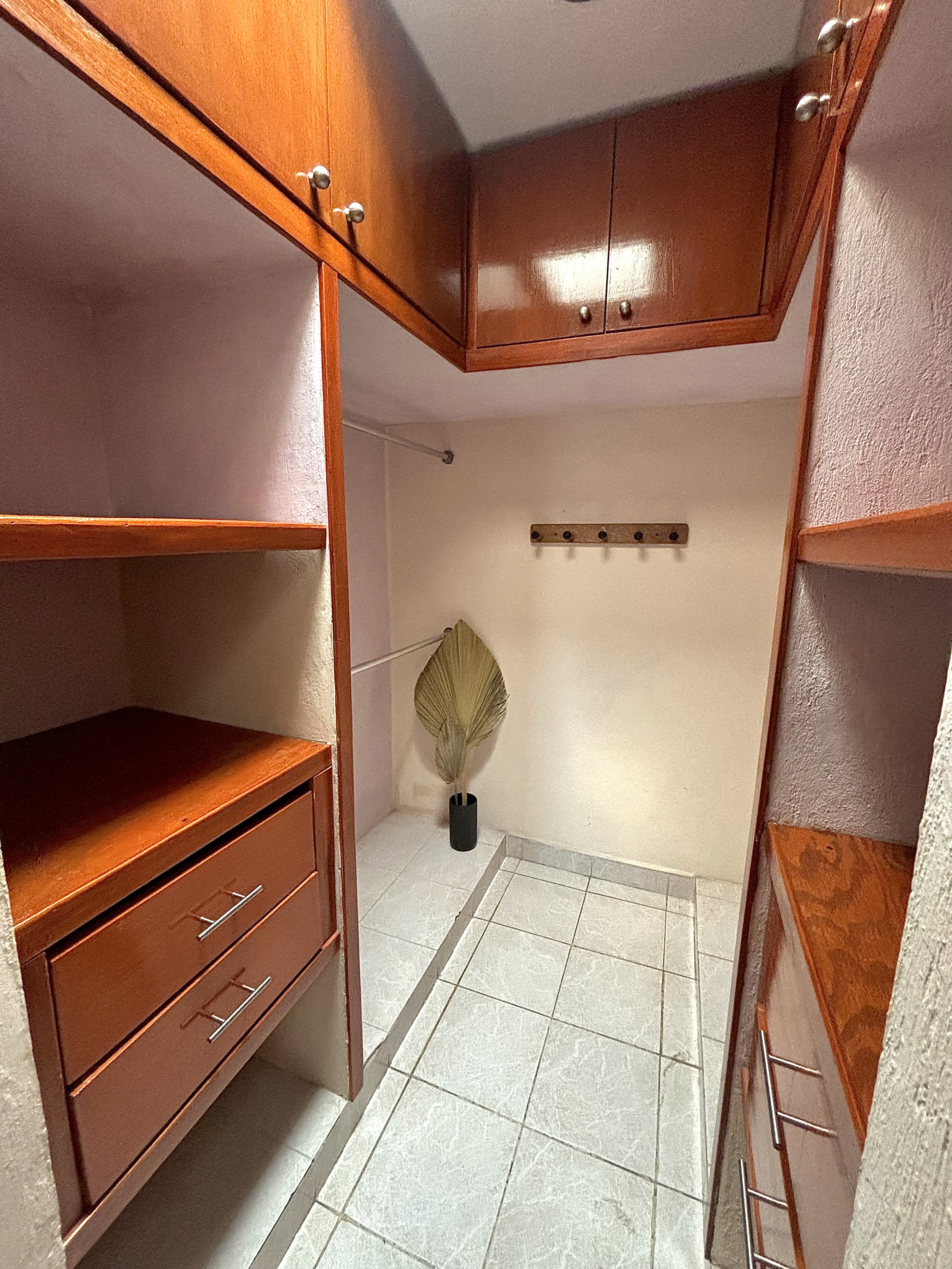 Jr Suite #2 — Casa Bambú 5