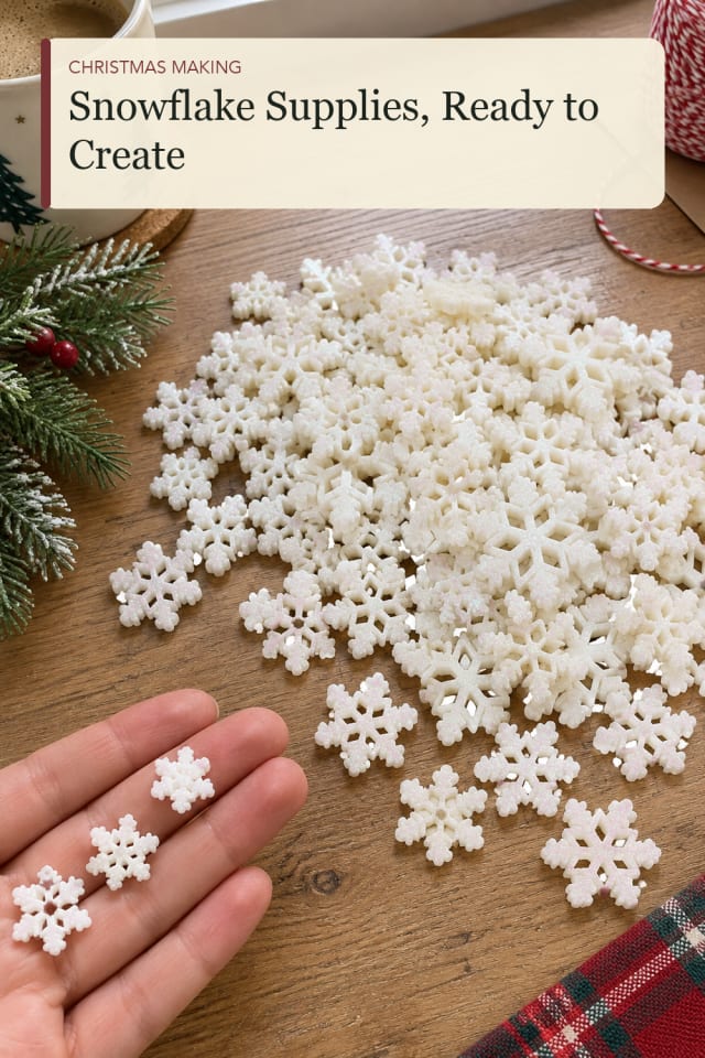 Snowflake craft supplies: Snowflake Craft Pieces for an Easy Creative Evening maker-lifestyle pin