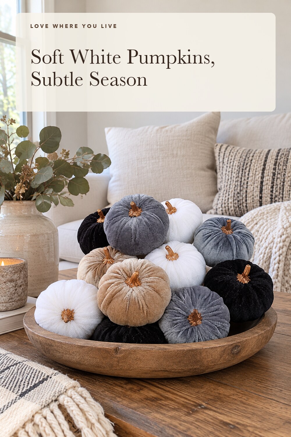 Winlyn 12 Pcs Small Assorted Faux Velvet Pumpkins Decorative Fabric in White Black Gray Taupe Foam Pumpkins 3" for Farmhouse Fall Wedding Thanksgiving Halloween Table Centerpiece Mantel Décor; styling inspiration