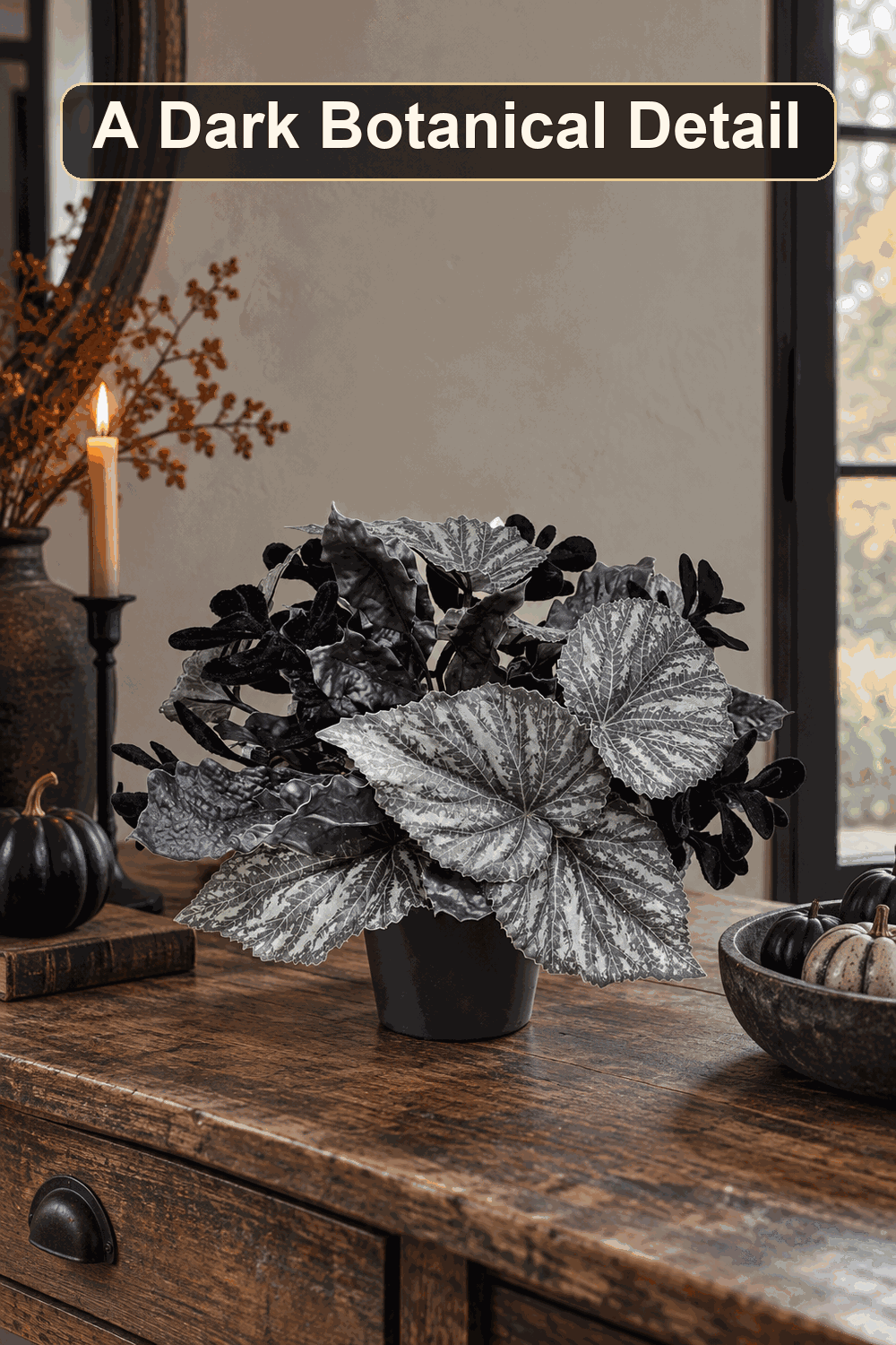 Styled Halloween home scene featuring the Begonia Velvet Boxwood Arrangement, 11", with the words A Dark Botanical Detail in a dark banner above.