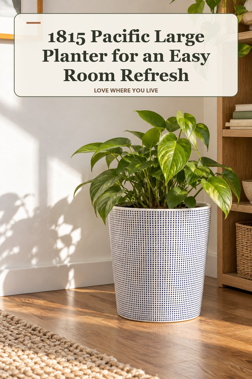 Warm natural-light apartment scene featuring the exact 1815 Pacific Large Planter in shown finish, with the headline: 1815 Pacific Large Planter for an Easy Room Refresh.