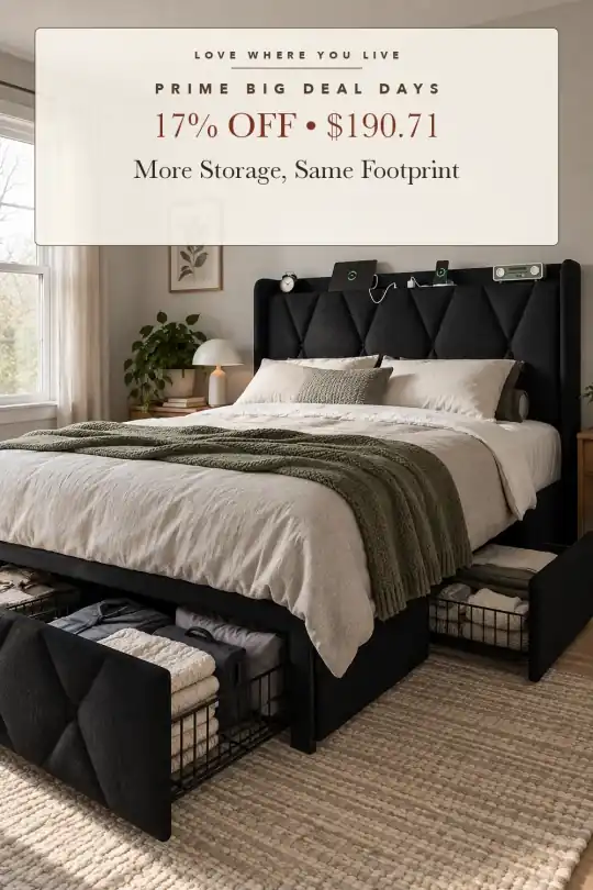 storage platform bed; styling illustration