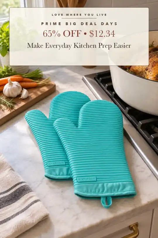 silicone oven mitts; styling illustration