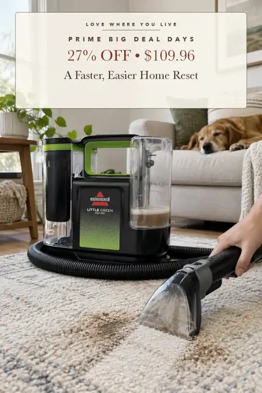 portable carpet cleaner; styling illustration