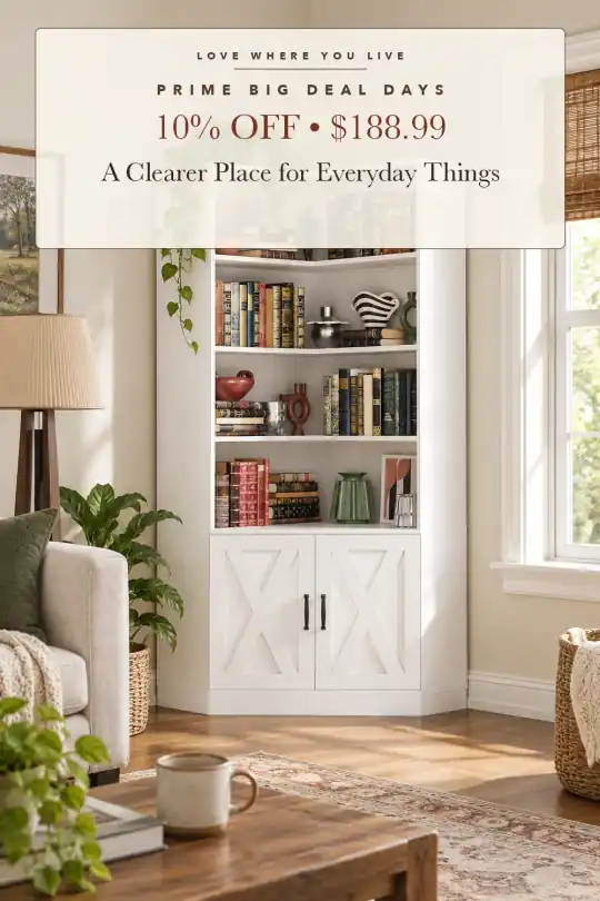 corner bookshelf cabinet; styling illustration
