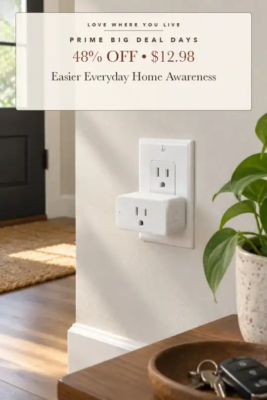 smart plug; styling illustration