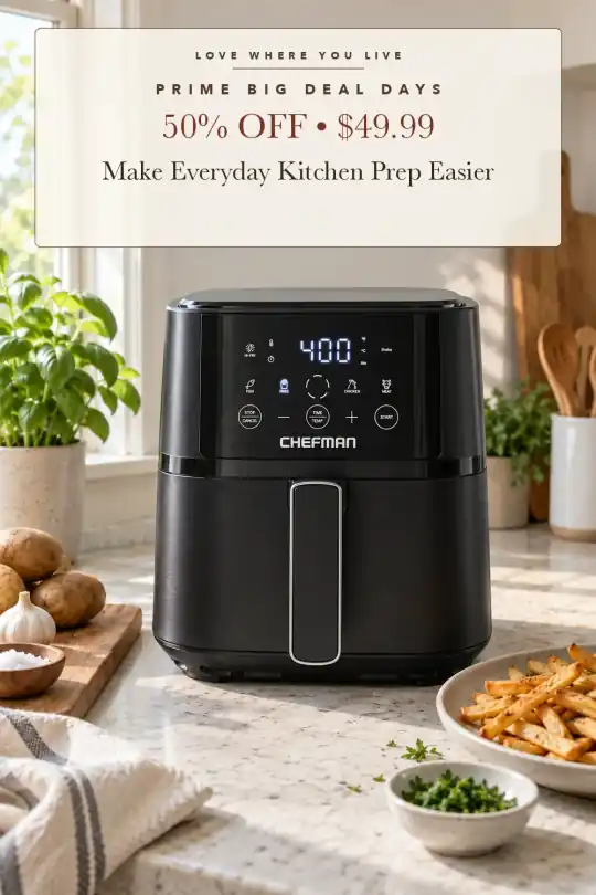 compact air fryer; styling illustration