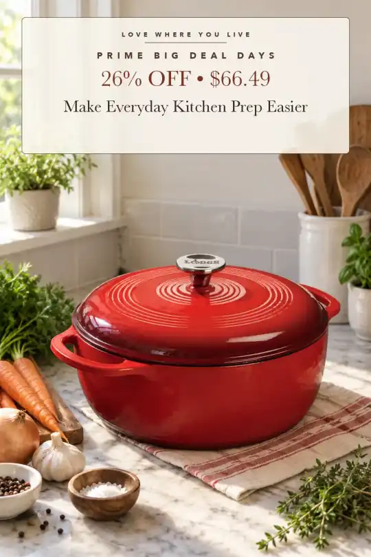 red Dutch oven; styling illustration