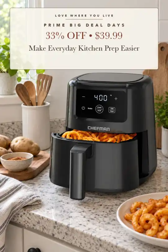 mini air fryer; styling illustration