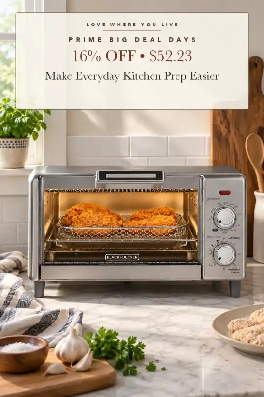 air fry toaster oven; styling illustration