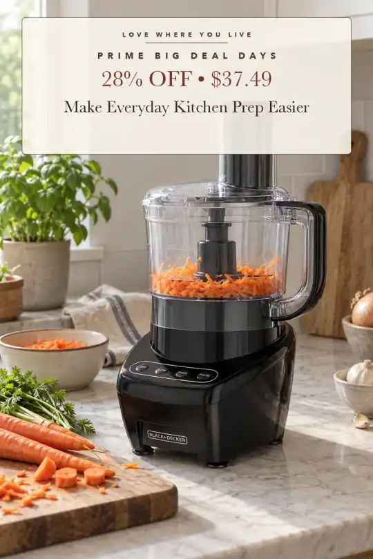 eight-cup food processor; styling illustration