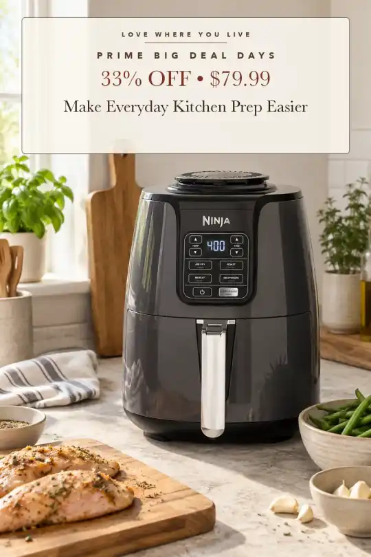 four-quart air fryer; styling illustration