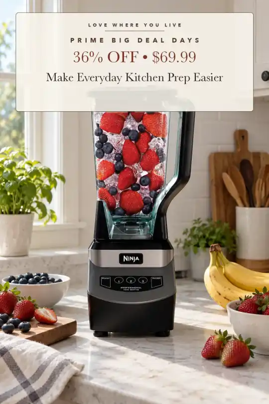 full-size countertop blender; styling illustration