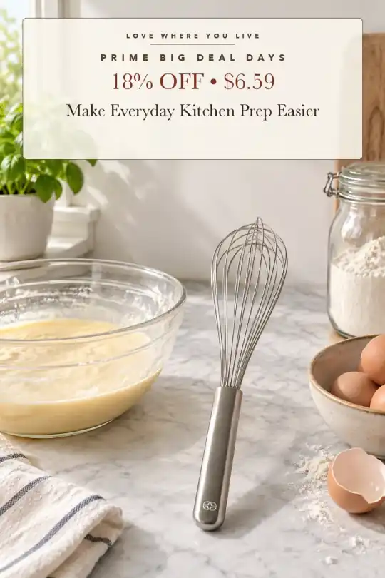 stainless balloon whisk; styling illustration