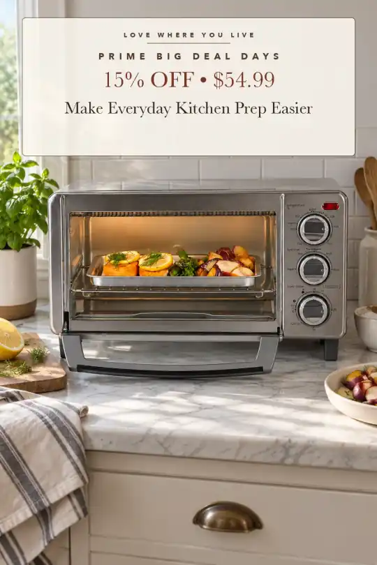 four-slice toaster oven; styling illustration