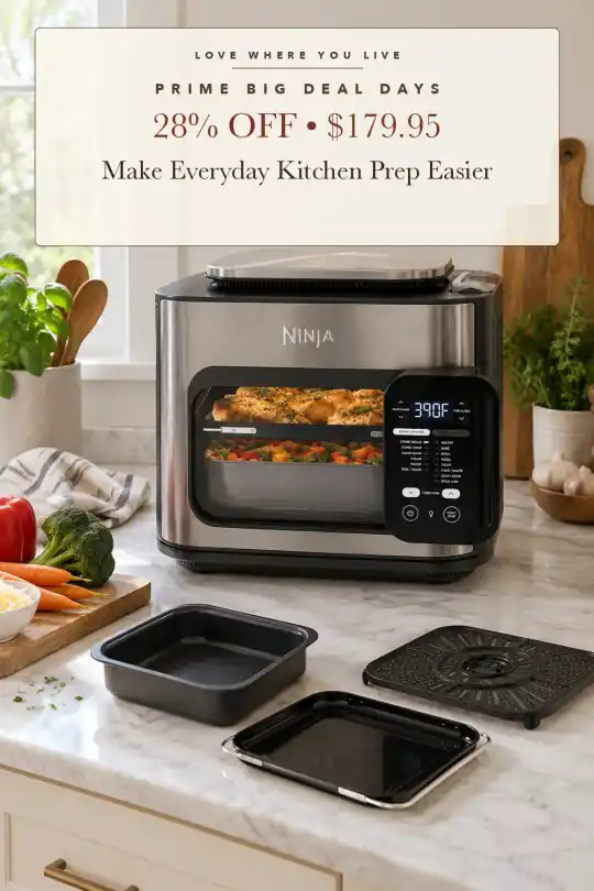 14-in-1 multicooker; styling illustration