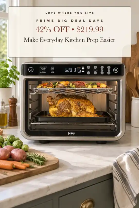 XL air fry oven; styling illustration