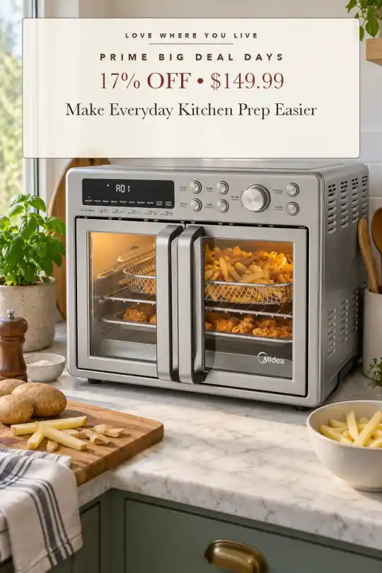 French-door air fryer oven; styling illustration