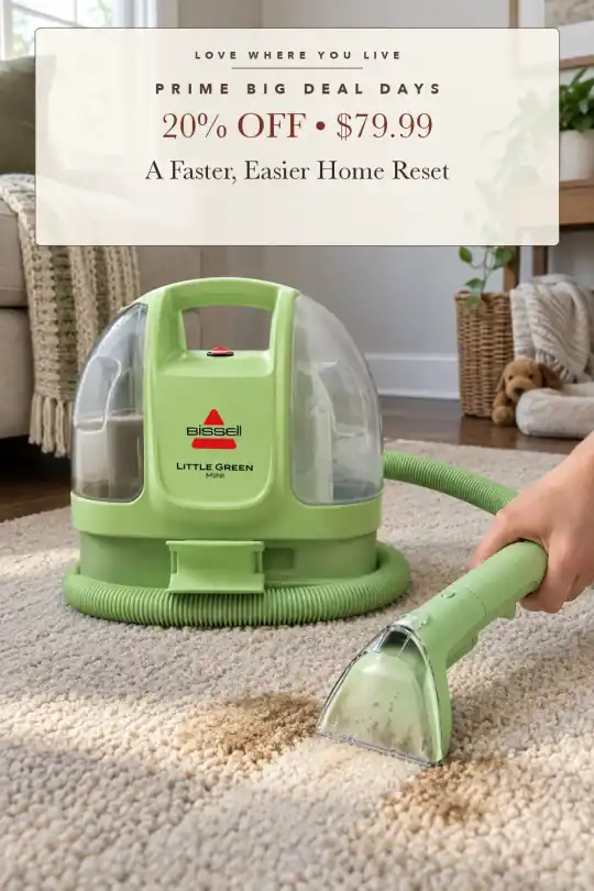 mini carpet cleaner; styling illustration
