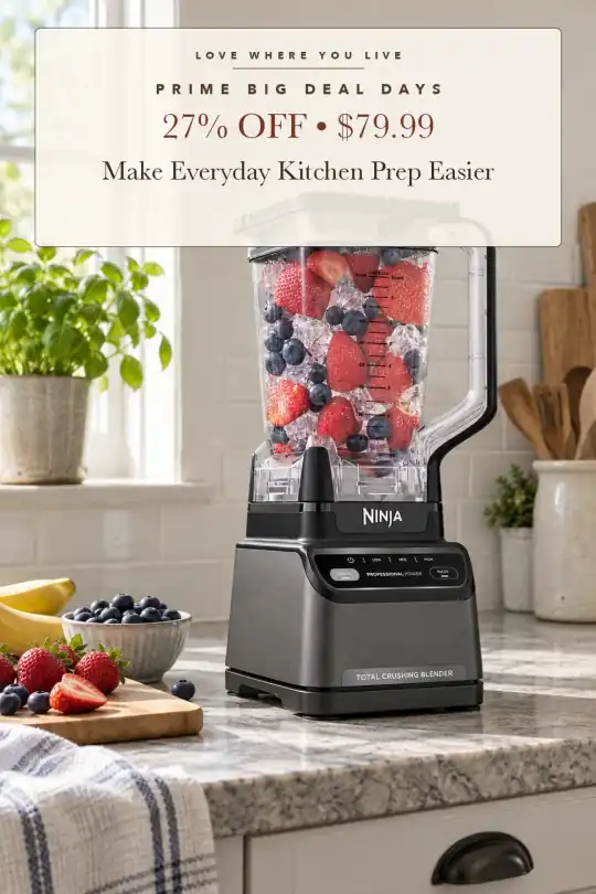 professional countertop blender; styling illustration