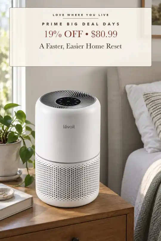 bedroom air purifier; styling illustration
