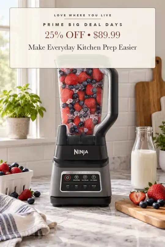 auto-iQ countertop blender; styling illustration