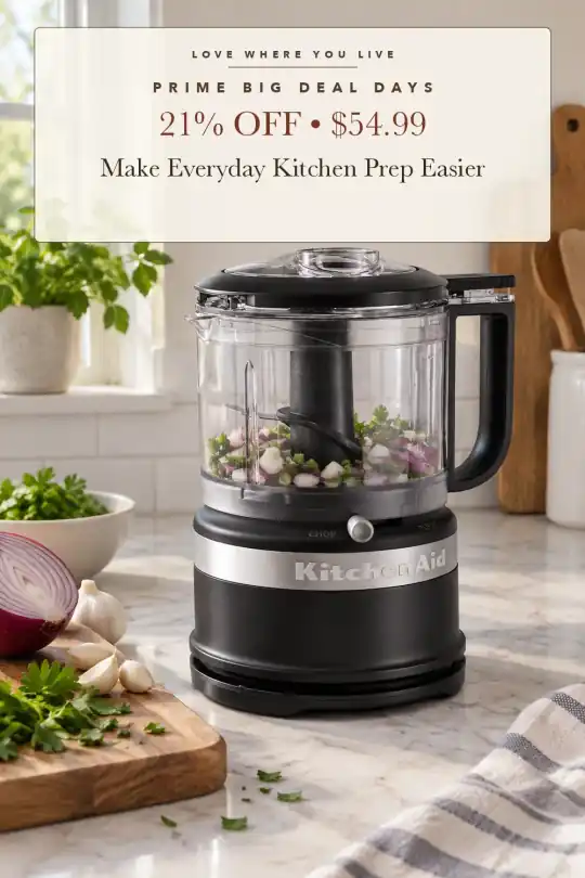 compact food chopper; styling illustration