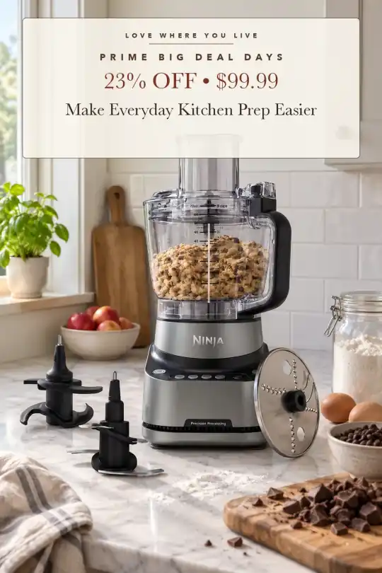 food processor and dough mixer; styling illustration