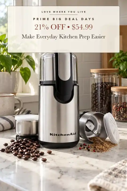 coffee and spice grinder; styling illustration