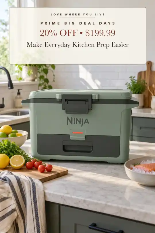 hard cooler with dry storage; styling illustration