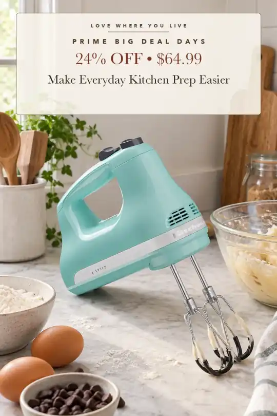 six-speed hand mixer; styling illustration